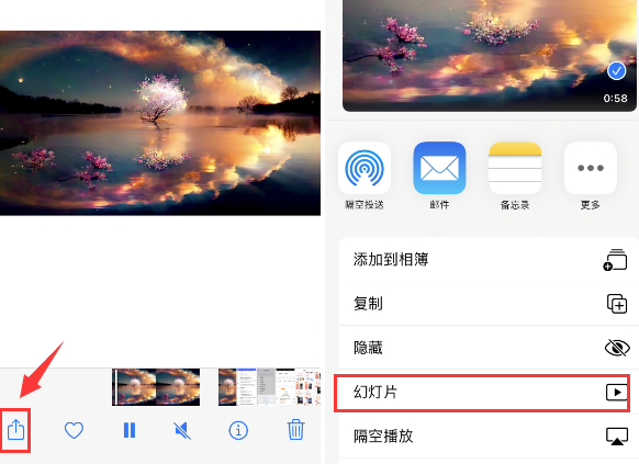 枞阳苹果14维修店分享iPhone14相册视频如何循环播放 