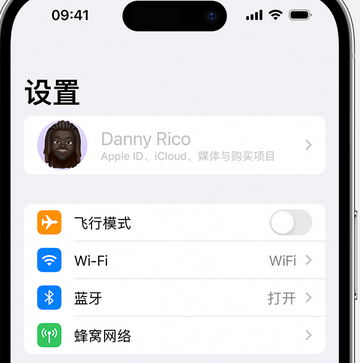 枞阳appleID维修服务iPhone设置中Apple ID显示为灰色无法使用 