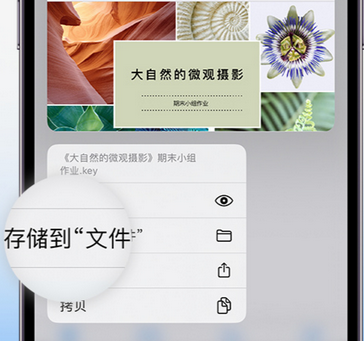 枞阳apple维修中心分享iPhone文件应用中存储和找到下载文件