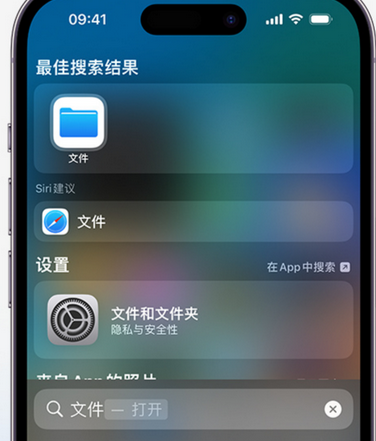 枞阳apple维修中心分享iPhone文件应用中存储和找到下载文件 