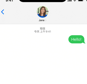 枞阳apple维修iPhone上无法正常发送iMessage信息