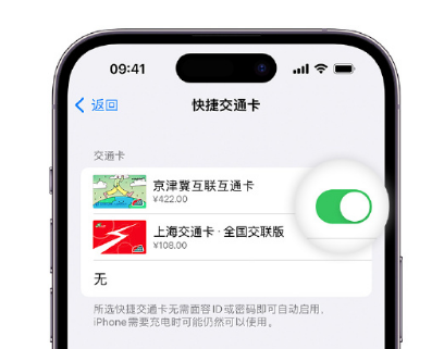 枞阳apple维修点分享iPhone上更换Apple Pay快捷交通卡手绘卡面 