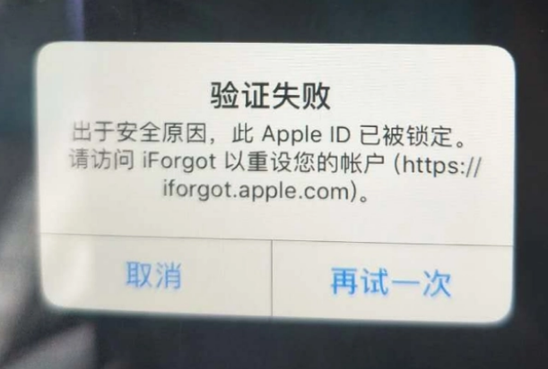 枞阳iPhone维修分享iPhone上正常登录或使用AppleID怎么办 