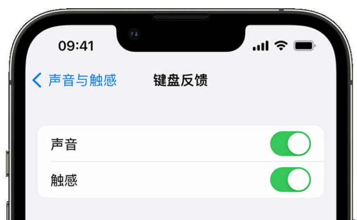 枞阳苹果手机维修分享iPhone 14触感键盘使用方法 