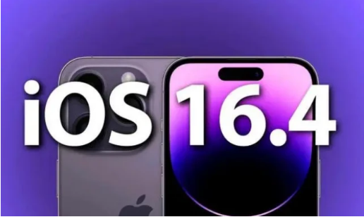 枞阳苹果14维修分享：iPhone14可以升级iOS16.4beta2吗？ 