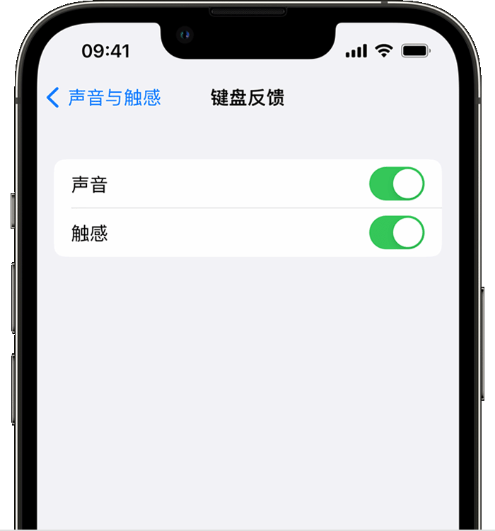 枞阳苹果14维修店分享如何在 iPhone 14 机型中使用触感键盘 