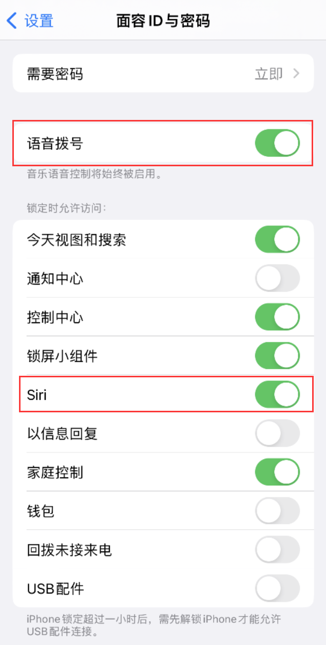 枞阳苹果维修网点分享不解锁 iPhone 的情况下通过 Siri 拨打电话的方法 