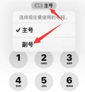 枞阳苹果14维修店分享iPhone 14 Pro Max使用副卡打电话的方法 