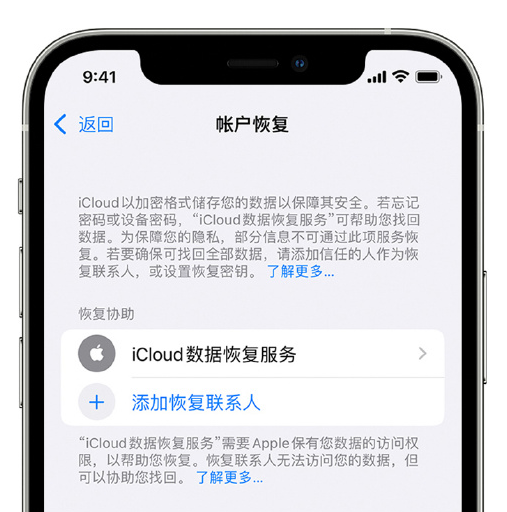 枞阳苹果手机维修分享在 iPhone 上设置帐户恢复联系人的方法 