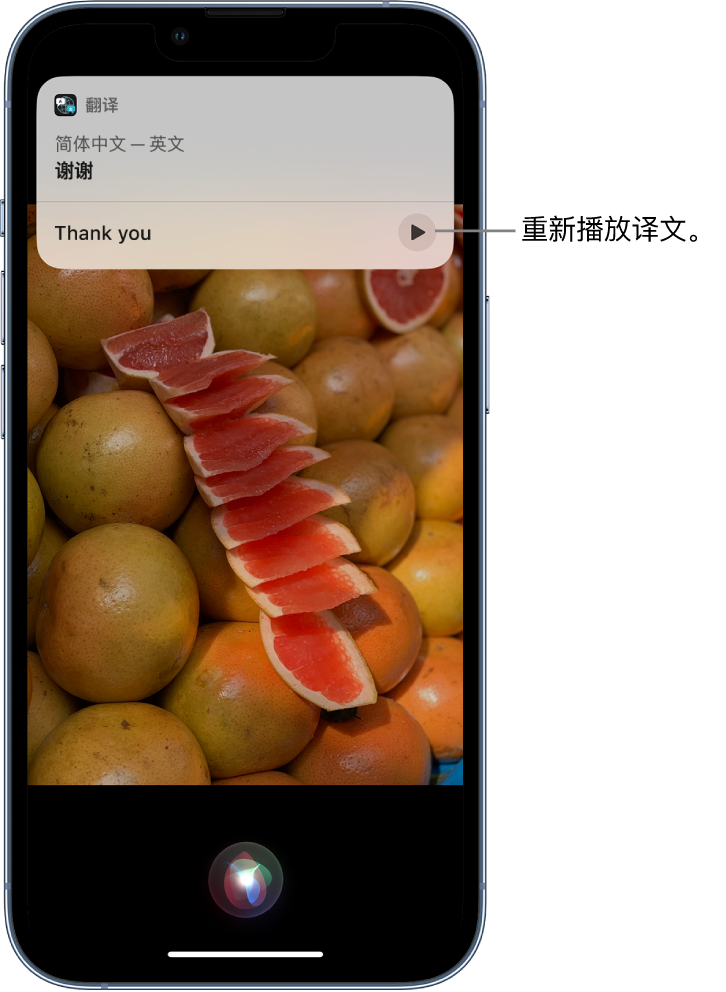 枞阳苹果14维修分享 iPhone 14 机型中使用 Siri：了解 Siri 能帮你做什么 