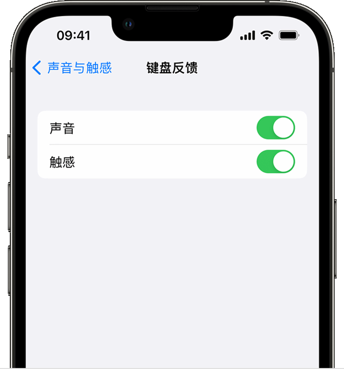 枞阳苹果14维修分享iPhone 14 系列机型如何开启键盘声音或触感反馈 