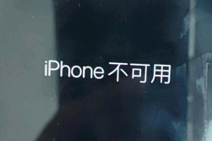 枞阳苹果服务网点分享锁屏界面显示“iPhone 不可用”如何解决 