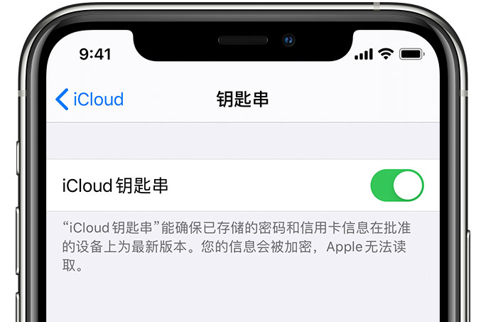 枞阳苹果手机维修分享在 iPhone 上开启 iCloud 钥匙串之后会储存哪些信息 