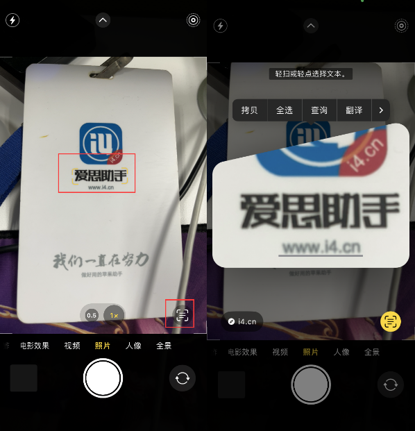 枞阳苹果手机维修分享升级iOS 16后如何通过相机翻译文本 