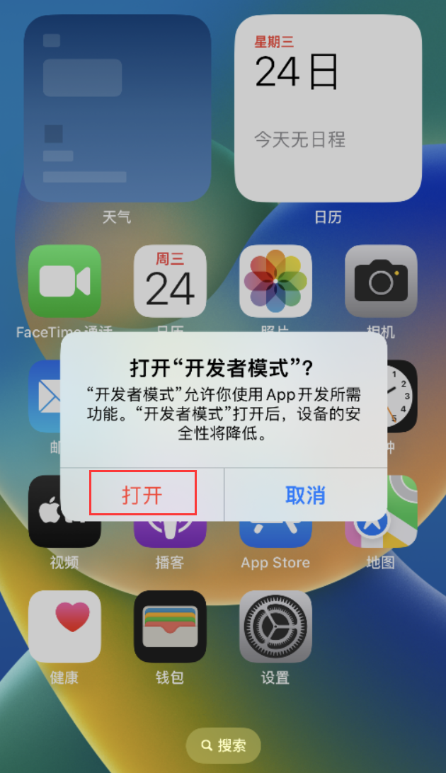 枞阳苹果手机维修分享如何打开开发者模式 
