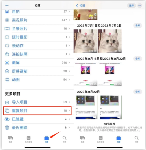 枞阳苹果手机维修分享iOS 16 中相册重复项目功能使用方法 