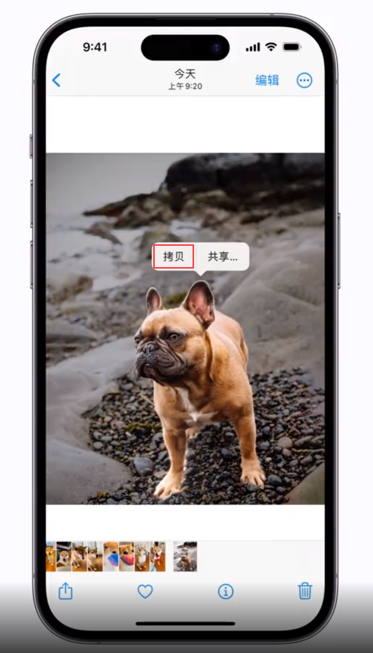 枞阳苹果手机维修分享 iOS 16 自带一键抠图功能 