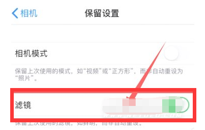 枞阳苹果13维修分享iPhone13拍照有绿点是怎么回事 