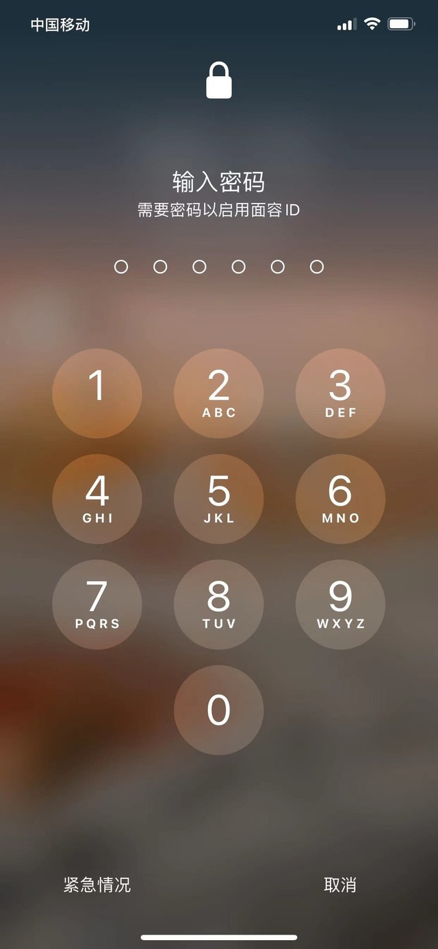 枞阳苹果13维修分享iPhone 13加强锁屏功能有什么用 