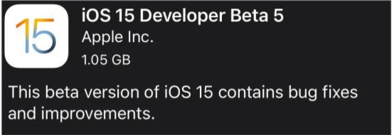 枞阳苹果手机维修分享如何升级到iOS15.0 beta5 