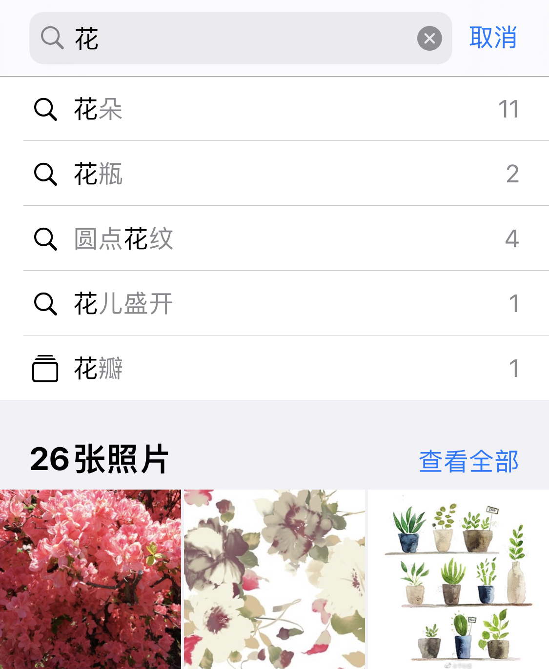 枞阳苹果手机维修分享iPhone 小技巧 