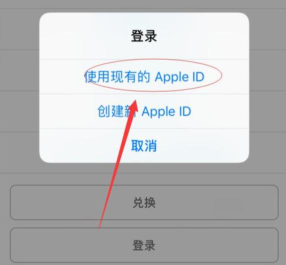 枞阳苹果手机维修分享两台iPhone设备可以同时登录一个Apple ID吗 