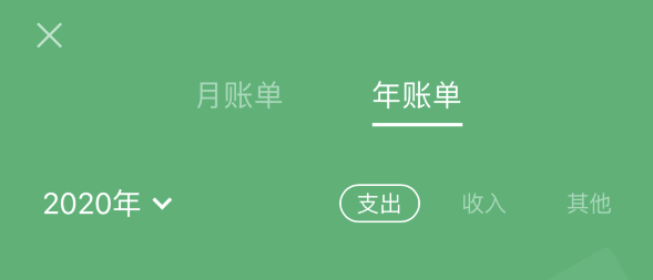 枞阳苹果手机维修分享如何在 iPhone 上查看支付宝和微信年支出账单 