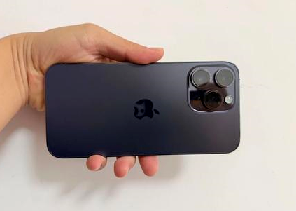 枞阳苹果维修点分享iPhone 14 Pro Max黑屏少见故障盘点 